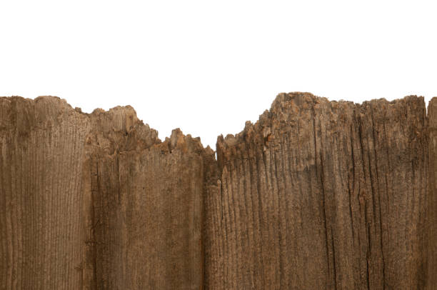 This image of a barnwood edge is seamless, that is,repeatable any number of times without a discernible seam. Background is a 255 white.