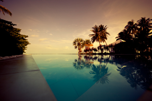 tropical sunset swimming pool scene with palm tree silhouettes at koh samui, thailand.