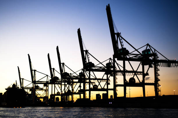 istock Silhouette of Miami port and big cranes 155147724