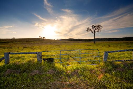 Rustic gate in Australian farmland with open field at sunset.