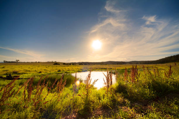 pôr-do-sol - grandchester imagens e fotografias de stock