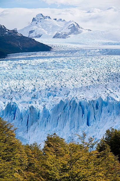glaciar moreno parque nacional perito na argentina patagônia - patagonia ice shelf vertical argentina imagens e fotografias de stock