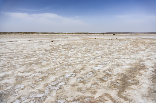 Dried salt lake in the Kazakh desert in the steppe relief, salt marsh on a hot summer day