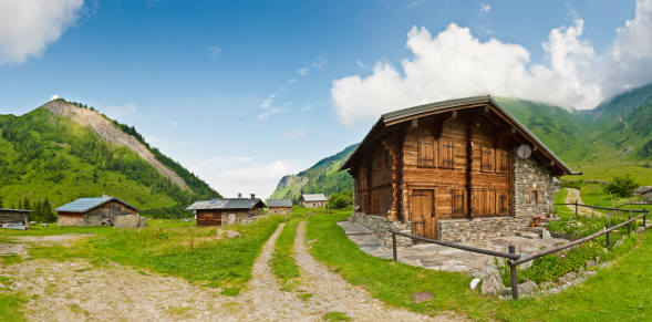 Traditional wooden chalets set in vibrant summer wildflower meadows beneath green pine forest mountains and Alpine peaks. ProPhoto RGB profile for maximum color fidelity and gamut.