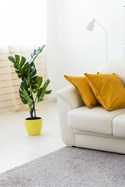 istock Living room interior with sofa and pillows and green artificial plant 1551482919