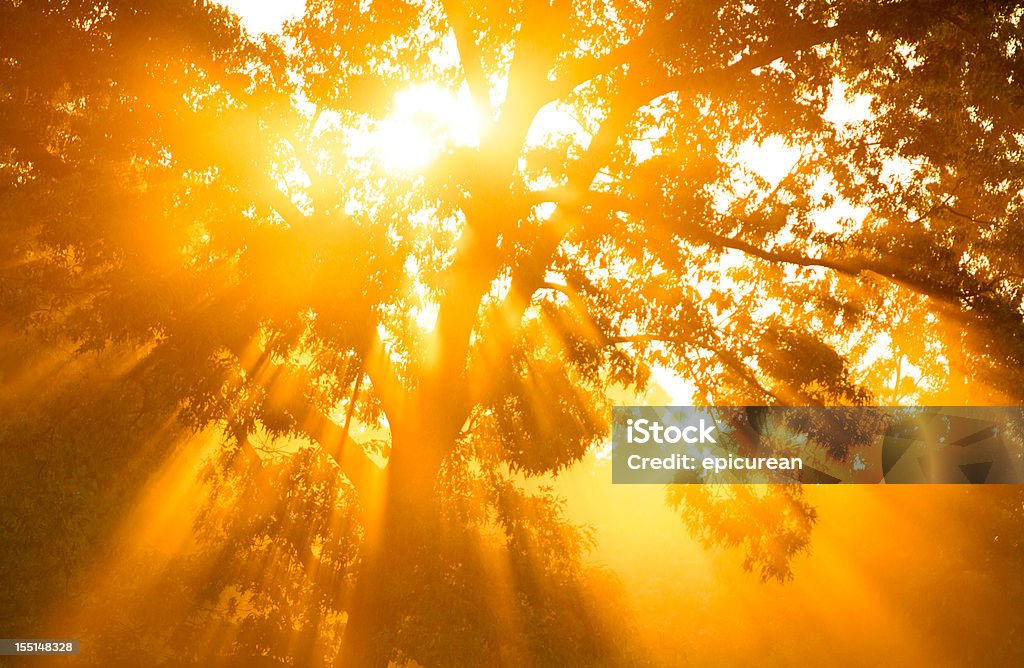 Gods Rays  Sunbeam Stock Photo