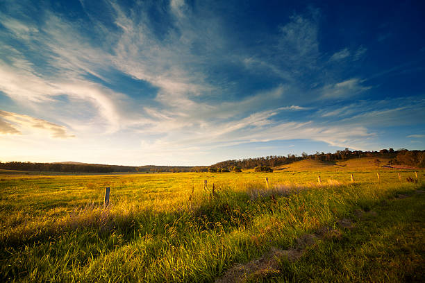 Wide Open Field Australian landscape. queensland stock pictures, royalty-free photos & images