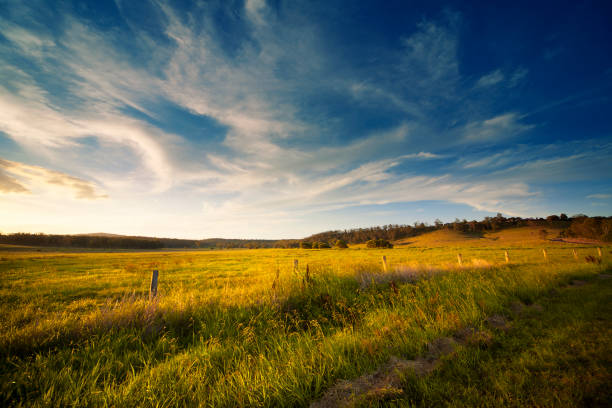 широкий open поле - australian outback стоковые фото и изображения