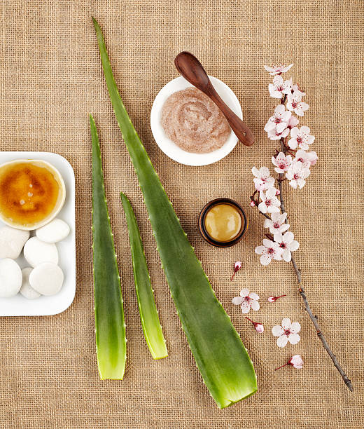 istock Still life with aloe vera, honey, sugar scrub and flower 155148450