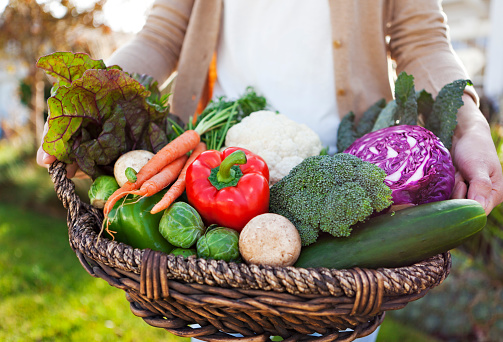 Hands holding a basket of garden vegetables