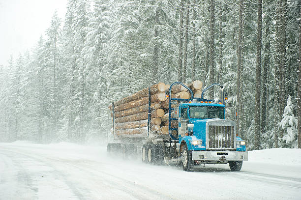 tempestade trucker - logging road imagens e fotografias de stock