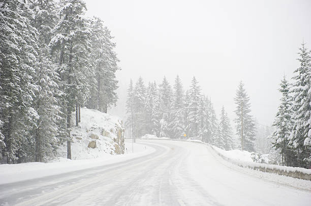 Wide windy highway blizzard thru snow covered forest stock photo