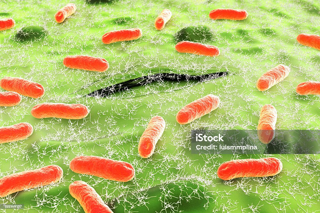 Escherichia Coli (E.  Coli.) - Foto stock royalty-free di Escherichia coli