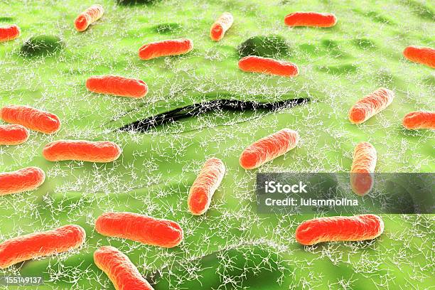 Escherichia Coli ます Coli - 大腸菌のストックフォトや画像を多数ご用意 - 大腸菌, 尿路感染症, バクテリア