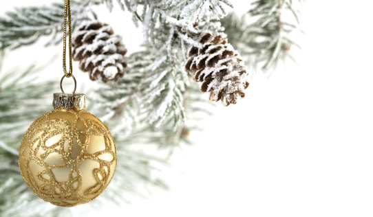 Gold Christmas Decoration on Snowy Christmas Tree Branch With Cones On White