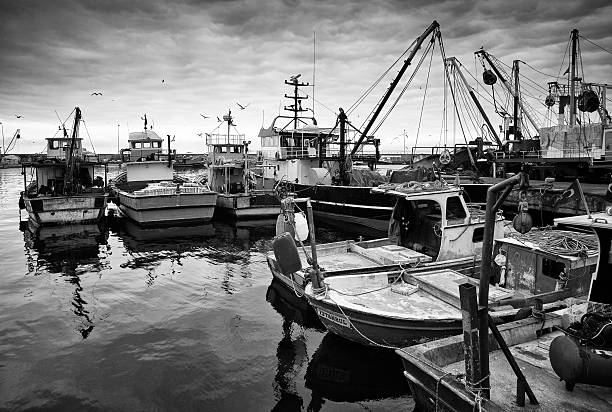 łodzi rybackich handlowa - commercial fishing net fishing net fishing fishing industry zdjęcia i obrazy z banku zdjęć