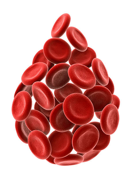 goutte de cellules sanguines - blood blood cell cell human cell photos et images de collection