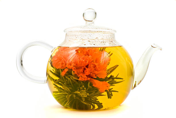 rozkwiecony, kwitnące herbaty w szklany czajnik do herbaty - chinese tea teapot isolated tea zdjęcia i obrazy z banku zdjęć