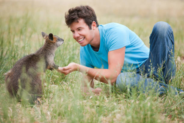 Keeper feeding kangaroo on a farm.