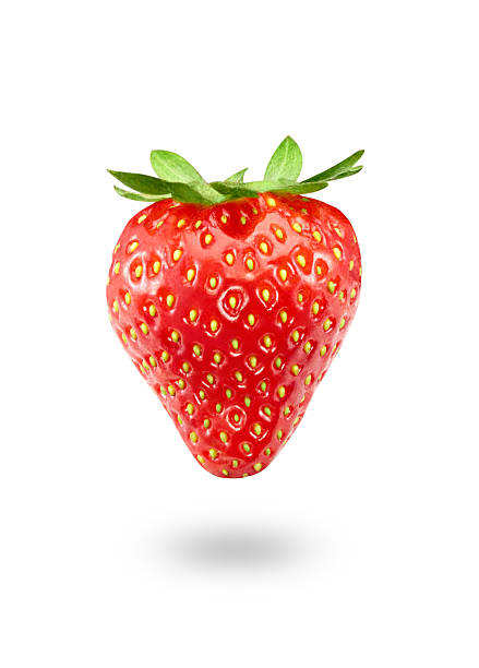 Strawberry isolated on white  strawberry photos stock pictures, royalty-free photos & images