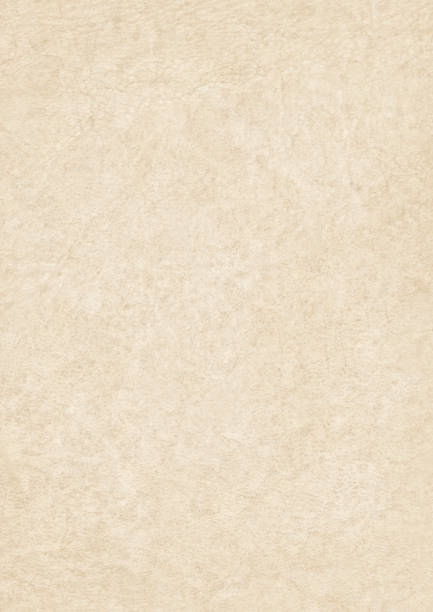 istock High Resolution Antique Animal Skin Parchment Grunge Texture 155150157