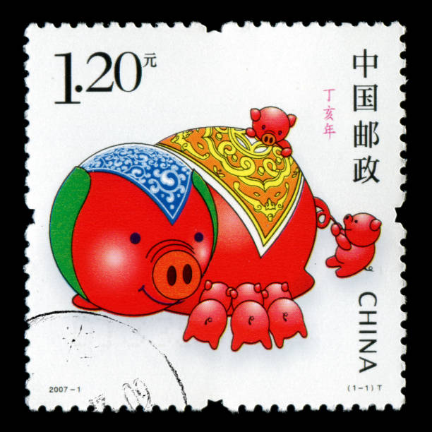 istock Year of the Pig 155150176