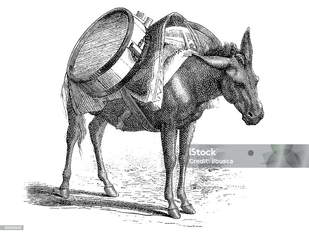 Âne porter l'eau - Illustration de Mule libre de droits