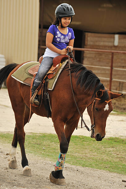 menina andando a cavalo - white purebred horse riding sports traditional sport - fotografias e filmes do acervo