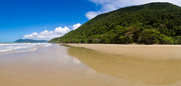 istock Cape Tribulation Waterfront, Queensland, Australia 155151032
