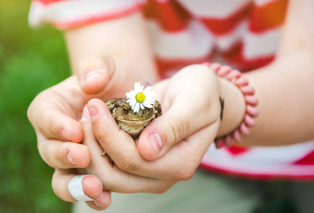 istock Girl carrying a frog in her hands 1551510373