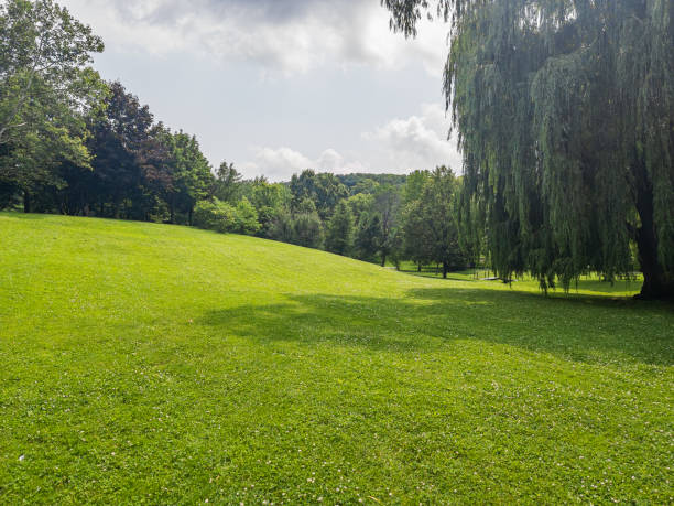 istock Natural Landscape - City Park with Trees 1551510459