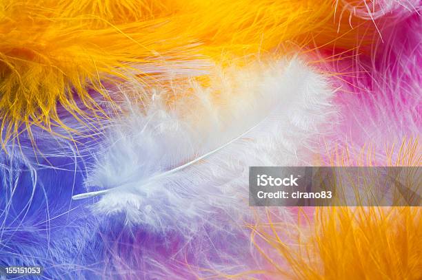 White Feather On A Multi Colored Background Stock Photo - Download Image Now - Abstract, Animal Markings, Backgrounds