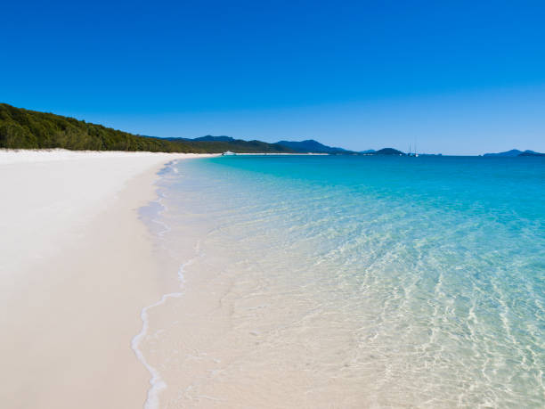 istock Whitehaven Beach on Whitsunday Island, Australia 155151055