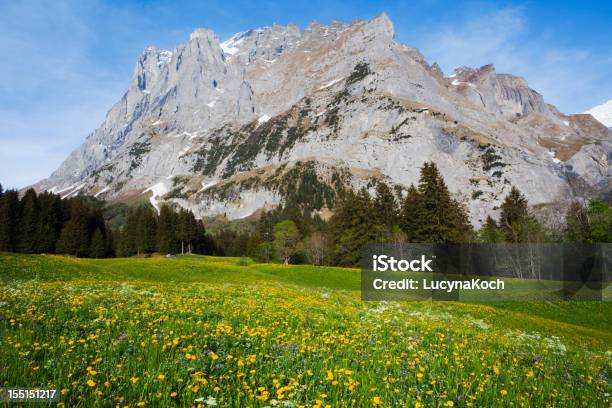 Frühling In Den Bergen Stockfoto und mehr Bilder von Alpen - Alpen, Berg, Berggipfel