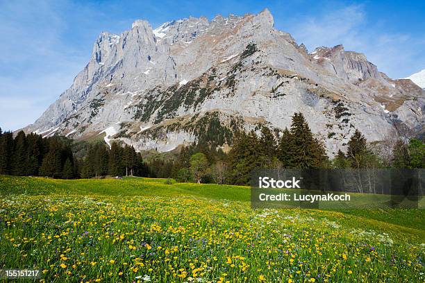 봄 산 경관에 대한 스톡 사진 및 기타 이미지 - 경관, 계곡, 꽃-식물