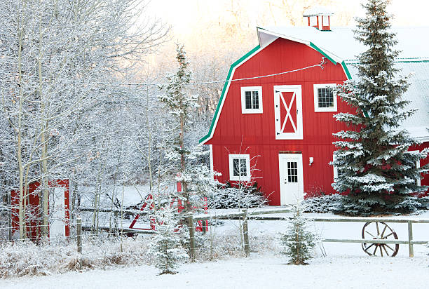 冬のクラシックなレッドのバーン - prairie farm winter snow ストックフォトと画像
