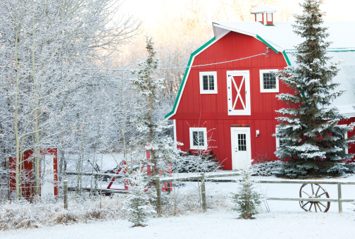 An old red barn on the prairie. Winter scenic. Alberta, Canada. This classic red barn is tucked away in a beautiful valley on the Great Plains. The rustic country charm of these old red barns cannot be overstated! This barn has been converted into some meeting rooms and is heated inside by a gas fireplace. 