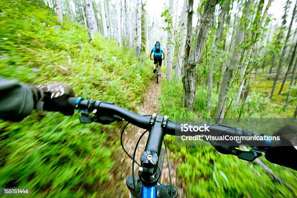 Горный Велоспорт В Лесу — стоковые фотографии и другие картинки Активный образ жизни - Активный образ жизни, Благополучие, Велосипедная перчатка