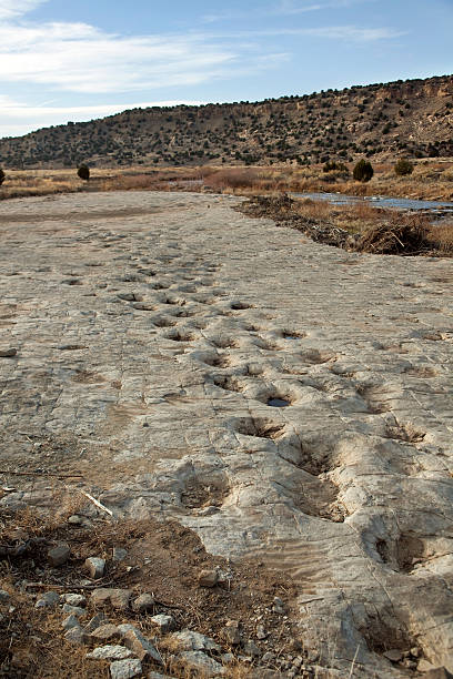 istock Jurassic sauropod dinosaur tracksite Purgatoire River Colorado vertical 155151724