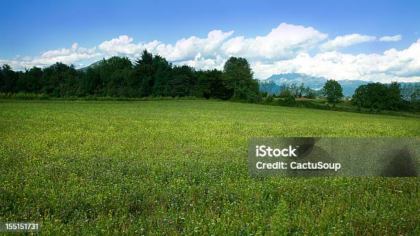 Zielone Pole - zdjęcia stockowe i więcej obrazów Alpy - Alpy, Bez ludzi, Bezchmurne niebo