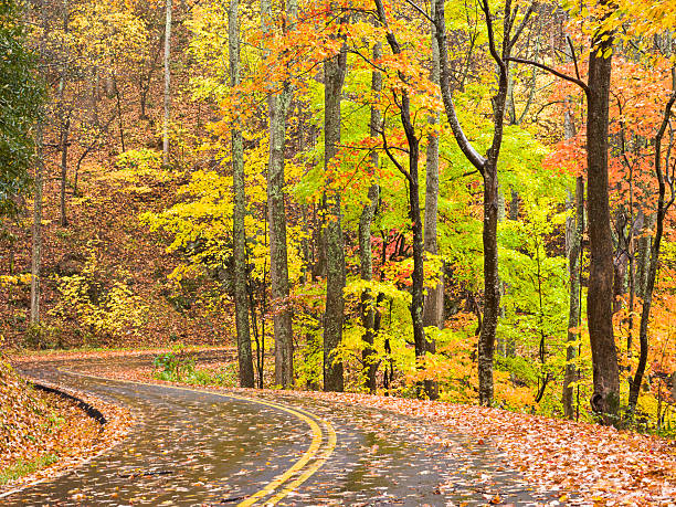 дымчатый горы осенью дорог series - gatlinburg road winding road tennessee стоковые фото и изображения