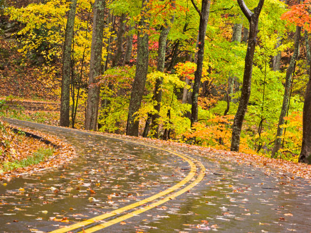 дымчатый горы осенью дорог series - gatlinburg road winding road tennessee стоковые фото и изображения