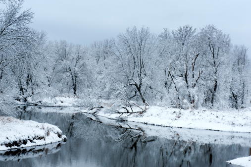 An ice cold river on an overcast, snowy day in Wisconsin. The trees are covered in frost and fresh snow.