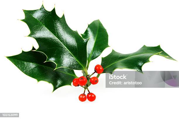 Выделение Christmas Holly — стоковые фотографии и другие картинки Белый - Белый, Белый фон, Горизонтальный