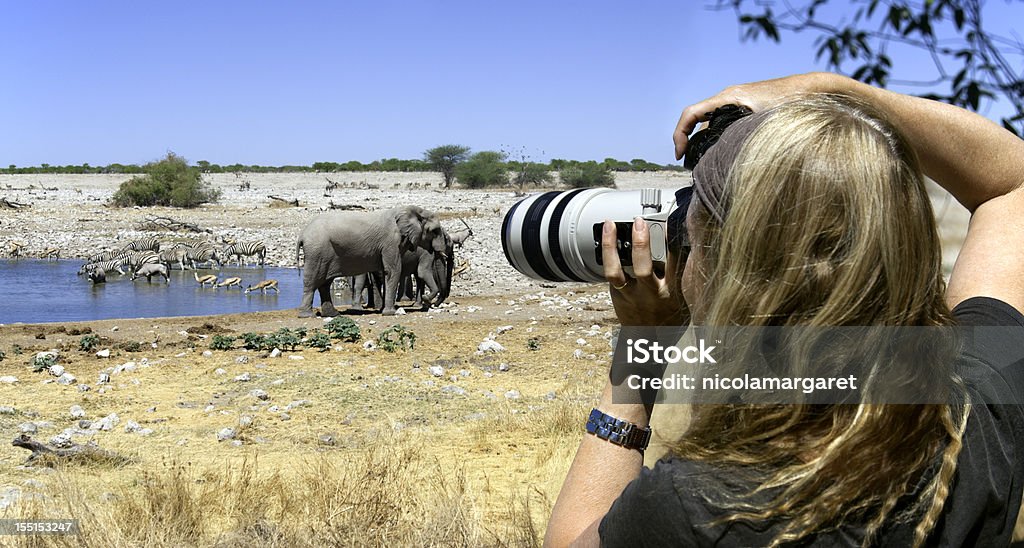 Turysta Fotograf na safari w Afryce - Zbiór zdjęć royalty-free (Safari)