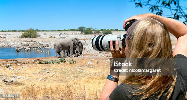 Turysta Fotograf Na Safari W Afryce - zdjęcia stockowe i więcej obrazów Safari - Safari, Afryka, Fotograf