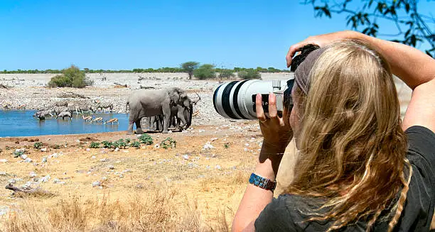 Woman photographer capturing an image at a waterhole in Etosha National Park, Namibia.
