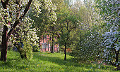 Half-timbered farm house and blooming apple trees in spring