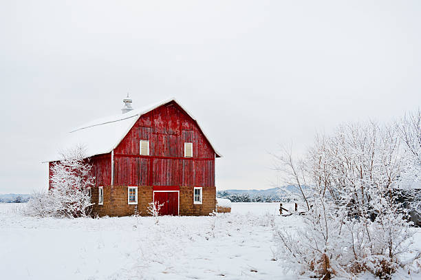 Red Barn in Winter stock photo