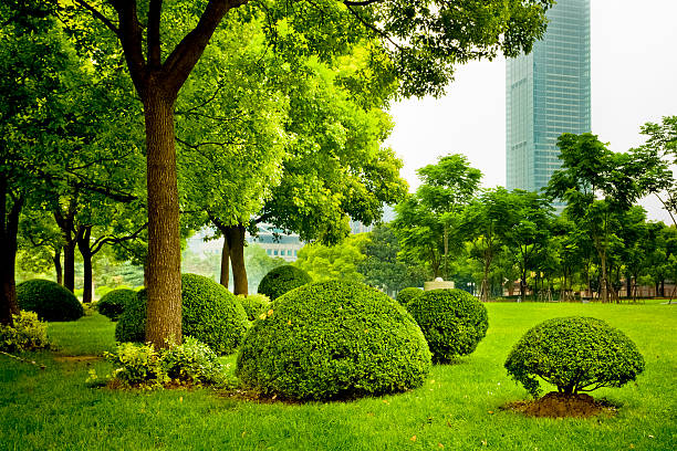 city garden http://farm9.staticflickr.com/8125/8659505173_b0341b5425.jpg civic center park stock pictures, royalty-free photos & images